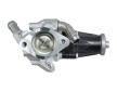 AGR - Ventil HELLA 6NU 010 171-661