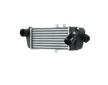 Chladič turba HELLA 8ML 366 341-001