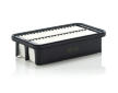 Vzduchový filter MANN-FILTER C 2219