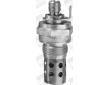 Žhavicí svíčka BorgWarner (BERU) GF163