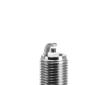 Zapalovací svíčka BorgWarner (BERU) Z16