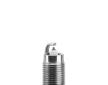 Zapaľovacia sviečka BorgWarner (BERU) Z176