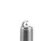 Zapaľovacia sviečka BorgWarner (BERU) Z367