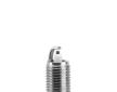 Zapaľovacia sviečka BorgWarner (BERU) Z362