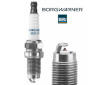 Zapalovací svíčka BorgWarner (BERU) Z349