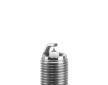 Zapalovací svíčka BorgWarner (BERU) Z382