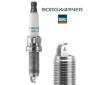 Zapaľovacia sviečka BorgWarner (BERU) Z529