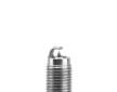 Zapalovací svíčka BorgWarner (BERU) Z534