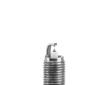Zapalovací svíčka BorgWarner (BERU) Z538