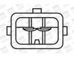 Zapalovací cívka BorgWarner (BERU) ZS314