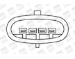 Zapalovací cívka BorgWarner (BERU) ZS371