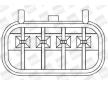 Zapalovací cívka BorgWarner (BERU) ZS372