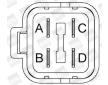 Zapalovací cívka BorgWarner (BERU) ZS419