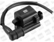 Zapalovací cívka BorgWarner (BERU) ZS523