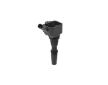 Zapalovací cívka BorgWarner (BERU) ZS596