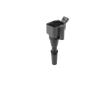 Zapalovací cívka BorgWarner (BERU) ZS596