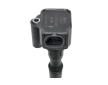 Zapalovací cívka BorgWarner (BERU) ZS596