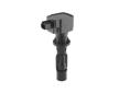 Zapalovací cívka BorgWarner (BERU) ZS618
