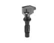 Zapalovací cívka BorgWarner (BERU) ZS618