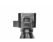 Zapalovací cívka BorgWarner (BERU) ZS618