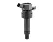 Zapaľovacia cievka BorgWarner (BERU) ZS625