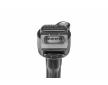 Zapalovací cívka BorgWarner (BERU) ZSE261