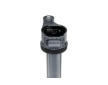 Zapalovací cívka BorgWarner (BERU) ZSE309