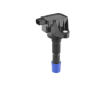 Zapalovací cívka BorgWarner (BERU) ZSE312