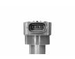 Zapalovací cívka BorgWarner (BERU) ZSE315