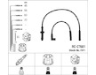 Sada kabelů pro zapalování NGK 7371