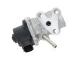 AGR-Ventil VALEO 703304