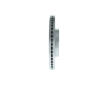 Brzdový kotouč BOSCH 0 986 479 F19
