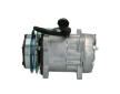 Kompresor, klimatizace BOSCH 1 986 AD1 219