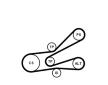 Sada zebrovanych klinovych remenu CONTINENTAL CTAM 6PK1045K3