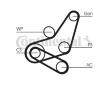 Sada žebrovaných klínových řemenů CONTINENTAL CTAM 6PK1059 ELAST T2