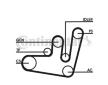Sada žebrovaných klínových řemenů CONTINENTAL CTAM 6PK1660D2