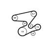 Sada žebrovaných klínových řemenů CONTINENTAL CTAM 6PK2080K1