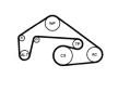 Sada žebrovaných klínových řemenů CONTINENTAL CTAM 6PK2460K1