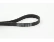 Ozubený klinový remeň CONTINENTAL CTAM 6PK906