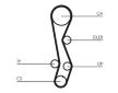 Ozubený řemen CONTINENTAL CTAM CT1030