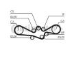 ozubení,sada rozvodového řemene CONTINENTAL CTAM CT1050K1