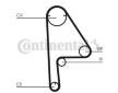 ozubení,sada rozvodového řemene CONTINENTAL CTAM CT1081K1