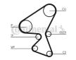 ozubení,sada rozvodového řemene CONTINENTAL CTAM CT1104K1