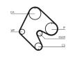 ozubení,sada rozvodového řemene CONTINENTAL CTAM CT529K1