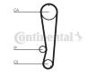 ozubení,sada rozvodového řemene CONTINENTAL CTAM CT569K1