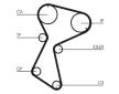 ozubení,sada rozvodového řemene CONTINENTAL CTAM CT604K1