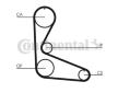 Ozubený řemen CONTINENTAL CTAM CT702