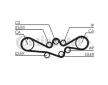 ozubení,sada rozvodového řemene CONTINENTAL CTAM CT792K1