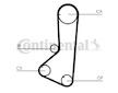 ozubení,sada rozvodového řemene CONTINENTAL CTAM CT801K1