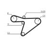 ozubení,sada rozvodového řemene CONTINENTAL CTAM CT810K1